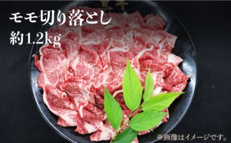 【月一のご褒美に】【3回定期便】長崎和牛 赤身×3回定期便＜株式会社黒牛＞ [CBA038]