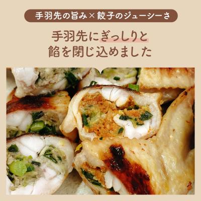 ふるさと納税 岩見沢市 北海道産鶏肉を使った手羽餃子30個セット(5個×6袋)≪配送地域限定≫ |  | 01