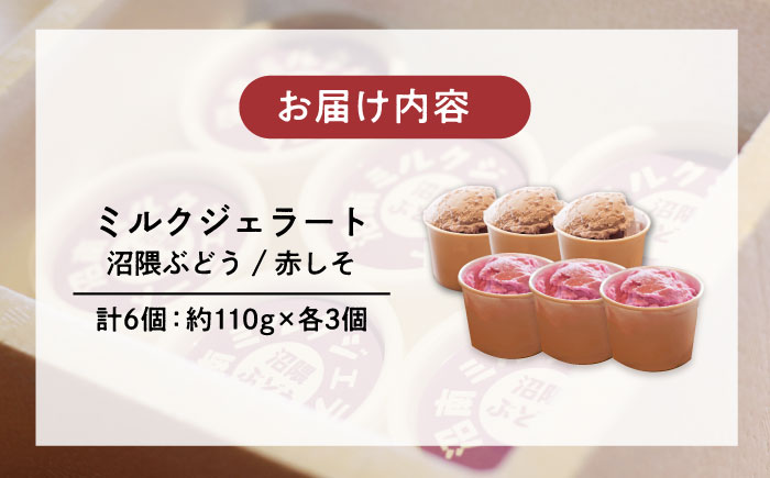沼南ミルクジェラート 沼隈ぶどう＆赤しそ　各3個　食べ比べセット　アイス  ぶどう 赤しそ アイス アイスクリーム デザート スイーツ ご当地 広島県福山市/甚ごろう [BAEC045]