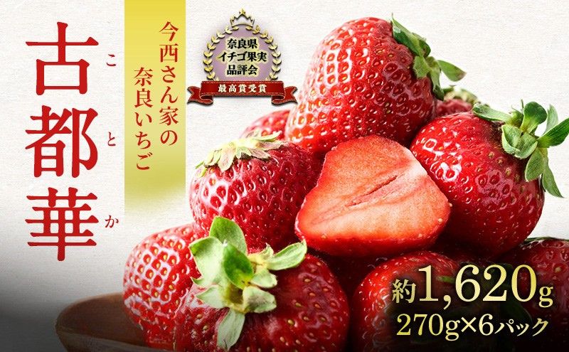 今西さん家の奈良いちご古都華 × 6パック いちご 苺 イチゴ ブランド 古都華 フルーツ 果物 国産 贈答用 プレゼント ギフト 大和郡山市 奈良