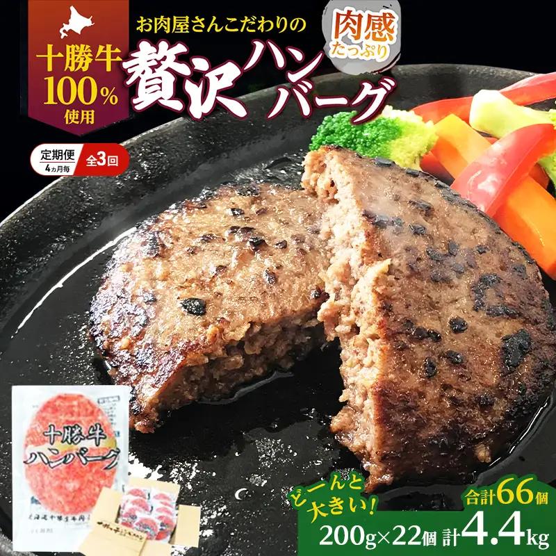 定期便 手ごねハンバーグ 全3回 合計66個 十勝牛 ハンバーグ
