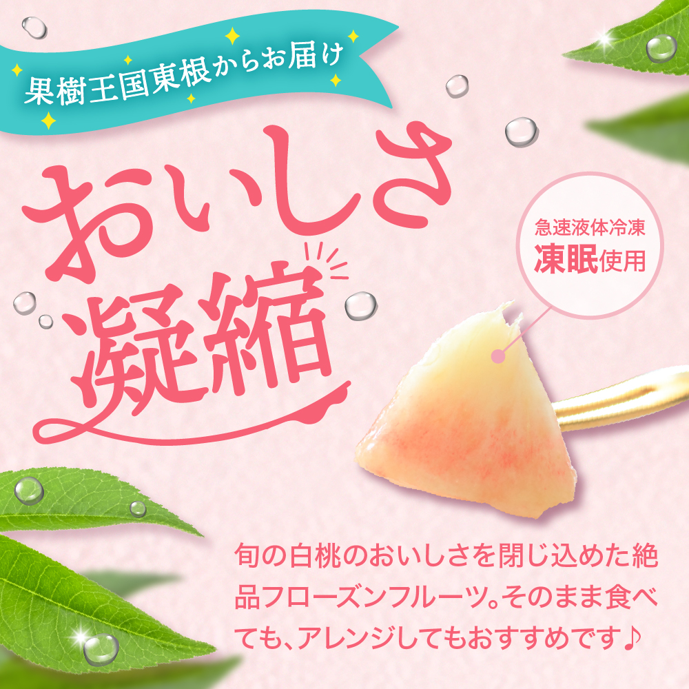 【8月以降発送】【瞬間冷凍】東根市産 カット済み白桃 100g×9袋入り 化粧箱【東根農産センター】　hi004-hi027-056r_イメージ2