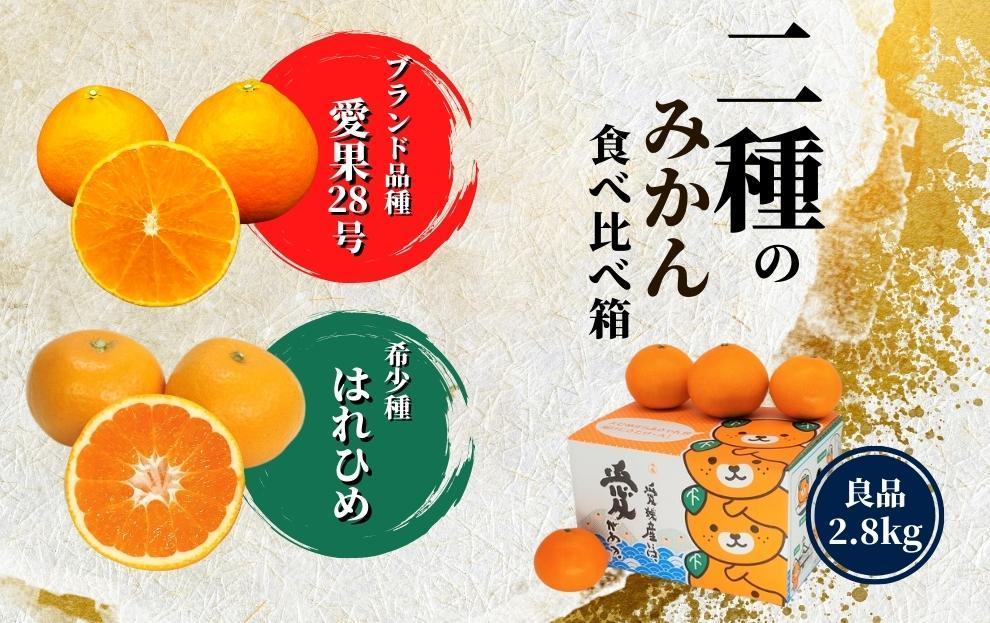 【早期予約受付中！2024年12月～順次発送】二種のみかん食べ比べ箱 愛果28号・はれひめ(良品) 約2.8kg