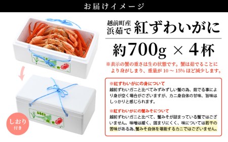 【訳あり】≪浜茹で≫越前産 紅ずわいがに 約700g × 4杯 食べ方しおり付【10月発送分】【紅ズワイガニ カニ かに 蟹 姿 ボイル 冷蔵 福井県】希望日指定不可 [e14-x002_10]