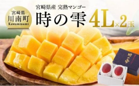 マンゴー 【令和8年発送】宮崎県産完熟マンゴー「時の雫」4L×2玉 果物 マンゴー