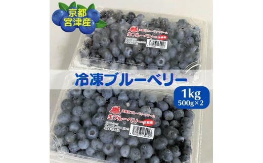 
京都 天橋立産 冷凍 ブルーベリー 1kg（500g×2パック）[№5716-0419]
