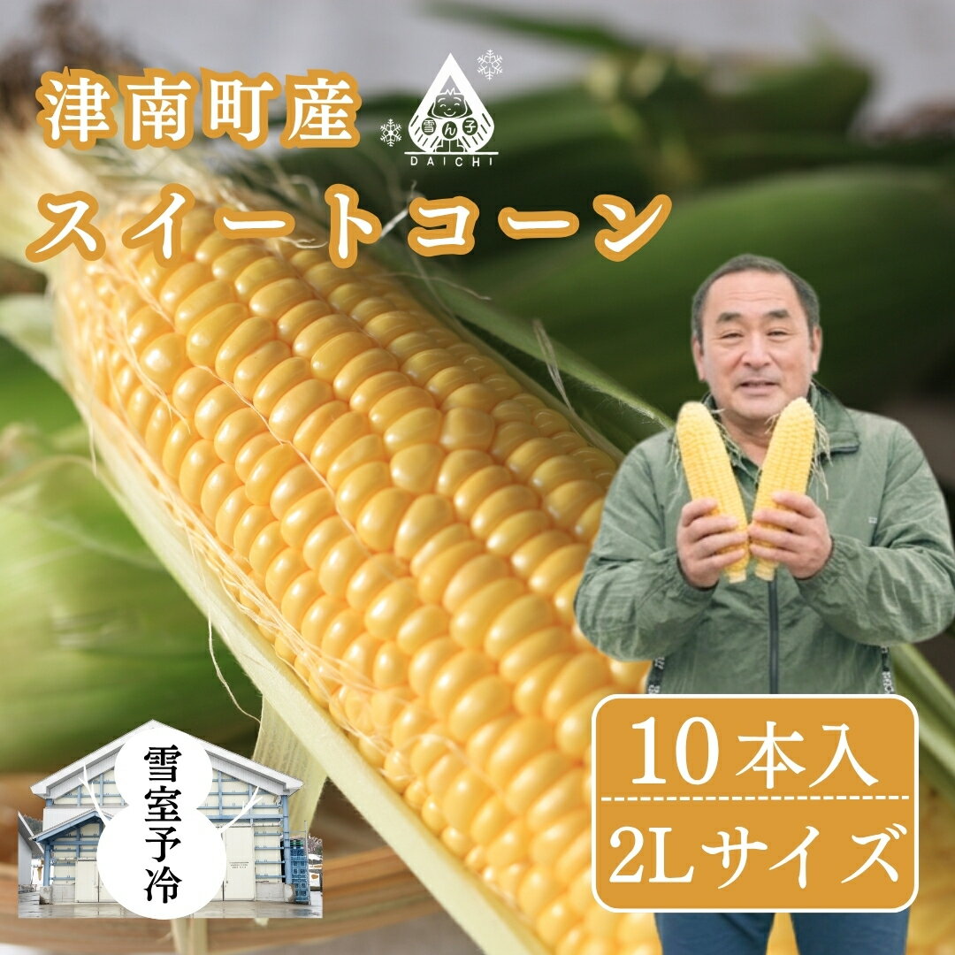 【ふるさと納税】雪室予冷 スイートコーン 2Lサイズ 10本入 | とうもろこし スイートコーン トウモロコシ スィートコーン 採れたて 新鮮 旬 産地直送 津南町 有限会社大地