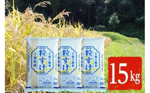 新米 【 令和7年産 】【新品種】千葉・粒すけ（精米）15kg | 米 こめ お米 おこめ 白米 精米 大つぶ 千葉県のブランド米 千葉県 君津市