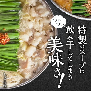 博多もつ鍋前田屋　味噌・醤油食べ比べセット（4～6人前）_KLM0605