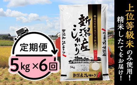 6ヶ月定期便 新潟県産コシヒカリ5kg