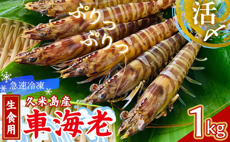 車海老【久米島漁協】活〆冷凍車海老　生食用1kg  車えび 海鮮