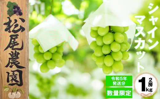 
            〈松尾農園〉シャインマスカット1kg(家庭用) [M528-2] 果物 果汁 ぶどう 高級 福岡 フルーツ 甘い マスカット 福岡県 宮若市 送料無料
          