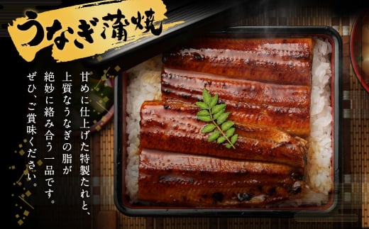 【5ヶ月定期便】鰻天屋 九州産うなぎ 蒲焼 約140g×2尾 セット