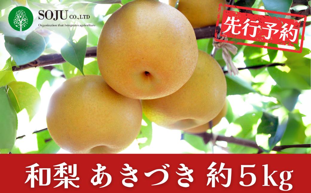 
            先行予約 和梨 あきづき 約5kg 令和8年度 贈答用 新潟県 三条市産 [三条果樹専門家集団]【016P021】
          
