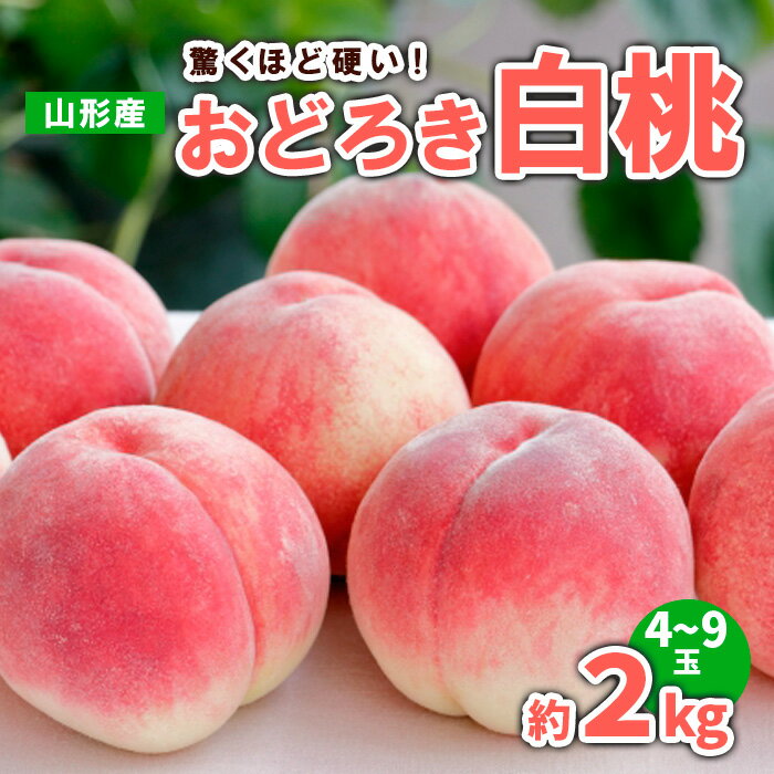 【ふるさと納税】山形産 おどろき 白桃 秀 約2kg(4〜9玉) 【令和7年産先行予約】FS23-780 くだもの 果物 フルーツ 山形 山形県 山形市 2025年産