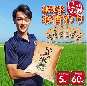 SS0005　【12回定期便】無洗米 お香わり（山形95号）　5kg×12回(計60kg)　農家直送『いいあん米』 AG