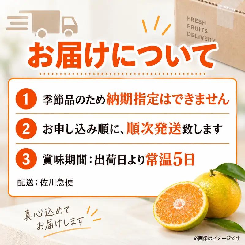 スイートスプリング 約10kg 果物類 みかん 柑橘類 フルーツ 