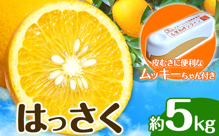 
はっさく 皮むきに便利なムッキーちゃん付き 約5kg ときわオンライン《12月上旬-3月中旬頃出荷》 和歌山県 紀の川市 フルーツ 果物 八朔 柑橘 送料無料
