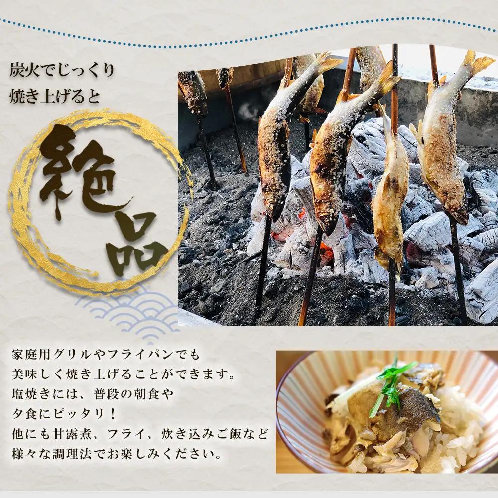 冷凍鮎 約1kg  鮎 川魚 3E6