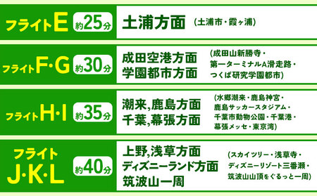 セスナ機遊覧飛行体験 3名 フライトF・G（約30分コース） 新中央航空株式会社《30日以内に出荷予定(土日祝除く)》茨城県 河内町 セスナ 飛行体験