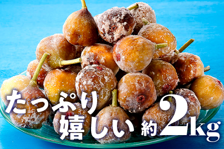 A1559.冷凍いちじく約2キロ【とよみつひめ】