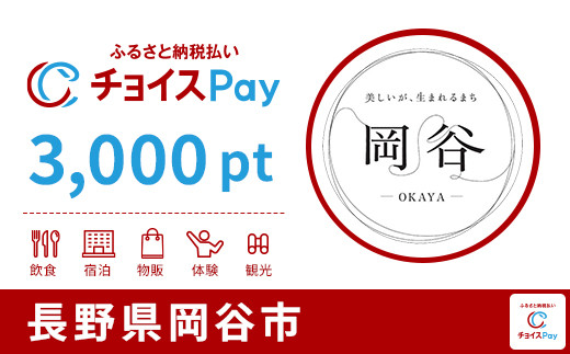 
            岡谷市チョイスPay 3,000pt【会員限定のお礼の品】
          