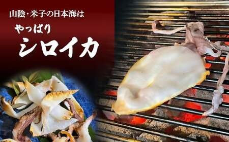 シロイカ入りイカの一夜干し食べくらべセット（Bセット）