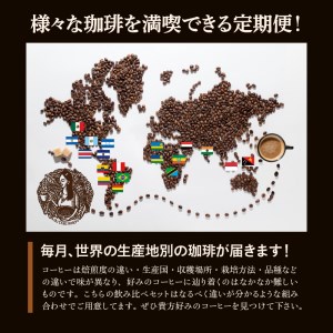 コーヒー300g 定期便12ヶ月コース 豆コース_定期便 12ヶ月 コーヒー 豆 各 100g 3種 合計 300g 小分け パック 飲み比べ 毎月 世界の生産地別のコーヒーが届く 産地 銘柄 発送時