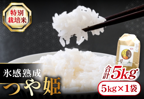 氷感熟成「つや姫」5kg【米 5kg つや姫 特別栽培米 こめ おこめ お米 島根県産 大田市産 氷感熟成 石見銀山氷感つや姫 減農薬 減化学肥料】