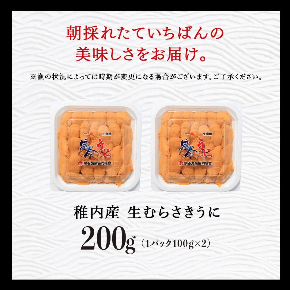 【うにの名産地稚内市】最北端の生むらさきうに(100gパック×2)