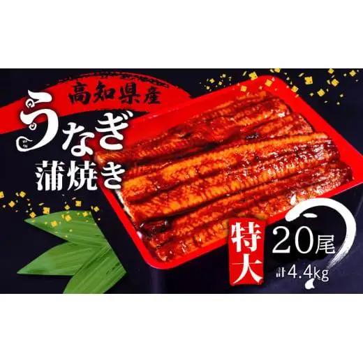 【 うなぎ 】 うなぎ20尾
