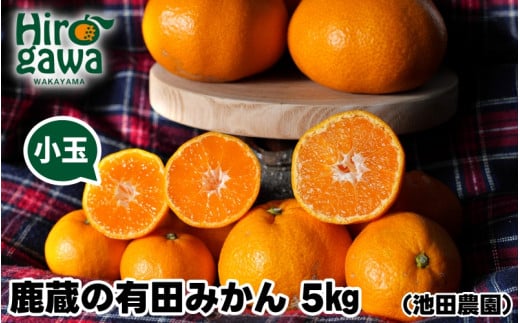 鹿蔵の 有田 みかん 訳あり 小玉 5kg 光センサー 選果 / 温州みかん 有田みかん 甘い 家庭用 和歌山 柑橘 ※2026年11月～順次発送予定 ※北海道・沖縄・離島への配送不可 【ikd004-cs-5-novB】