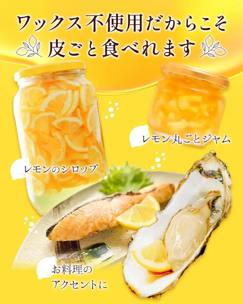 国産レモン サイズ混合 3kg エイワ商店 檸檬 レモン