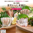 【ふるさと納税】【北海道・離島配送不可】新鮮！活〆真鯛としまあじのお刺身セット(合計約800g～1kg)お刺し身 魚介 海鮮 まだい マダイ シマアジ 詰め合わせ 詰合せ 活き締め 真空パック【AP-38】【日向屋】