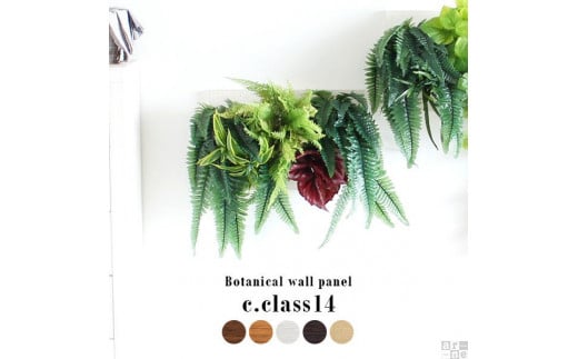 Botanical c.class 14　ナチュラル