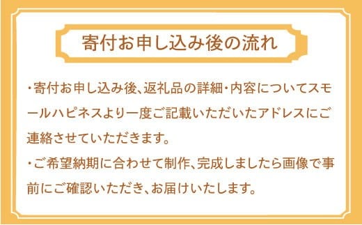 制服リメイク 体操服上下(靴付き)  KZ011