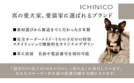 ICHINICOオンラインショップ お仕立て券10,000円分