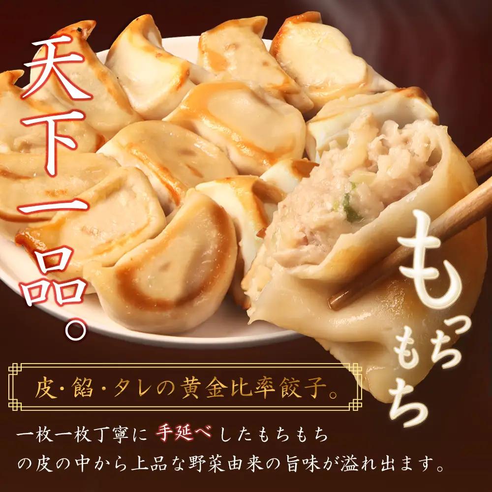 【定期便：6回】【なかしべつミルキーポーク100％使用】 樹苞 お城餃子36個（約9人前）【5301601】
