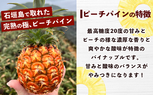 【マツコの知らない世界で絶賛！】《2025年4月以降発送》【先行予約】パイナップル好きにおすすめ！満足のパイナップル2品種定期便【 沖縄 石垣 ピーチ ホワイトココ パイン パイナップル 完熟 セット