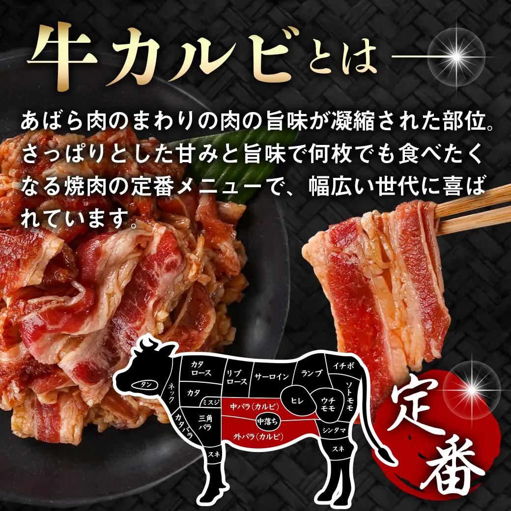 牛カルビ タレ漬け900g≪みやこんじょ特急便≫_LF-33-021-900g-Q_(都城市)  味付き 300gパック 真空 小分け 牛肉 ★レビューキャンペーン対象品★