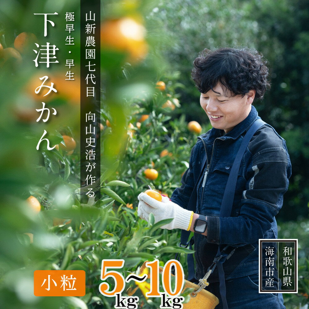 【ふるさと納税】【選べる容量】極早生 or 早生みかん 約5kg or 約10kg 小粒SS・Sサイズおまかせ《秀品》 和歌山県産 山新農園 農園直送 まごころ産直みかん［北海道・沖縄県・一部離島 配送不可］ | ふるさと納税 楽天 和歌山 海南市 果物 フルーツ 訳あり