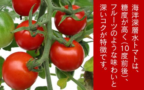 【期間限定】海洋深層水トマト