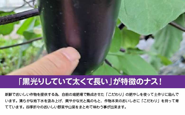 黒光りする太くて長いナス！ 約2400g　40P3218