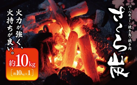 N1 火力が強く火持ちが良い プロ愛用 炭 さくら炭 10kg | 炭 オガ 備長炭 燃料 火持ちが良い 高火力 遠赤外線 長時間燃焼 煙少 白炭 オガ備長炭 キャンプ BBQ アウトドア お花見 キャンプ バーベキュー 薪ストーブ 節電 飲食店 業務用 奈良炭化工業 株式会社 奈良県 大淀町