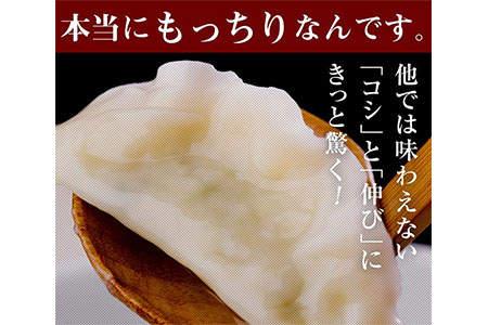 ＜もっちり 餃子 80個＞ 翌々月末迄に順次出荷【c001_mw_x3】 餃子の馬渡 ぎょうざ 牛肉 豚肉 宮崎餃子 特産品