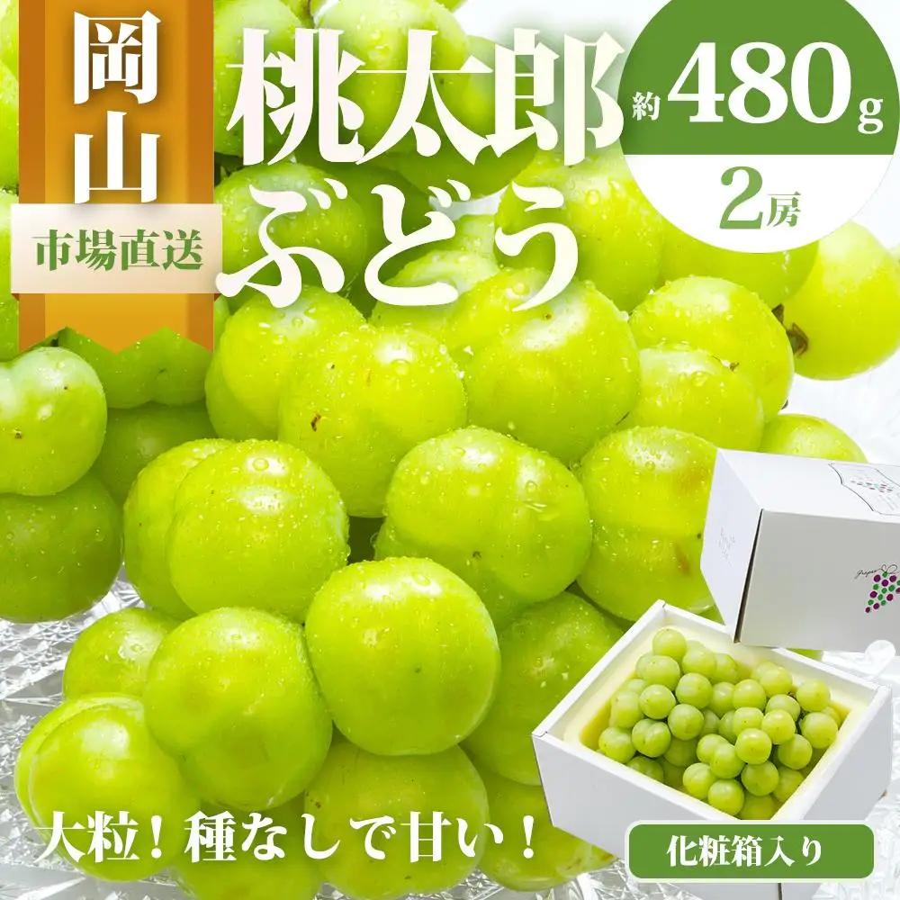 2027年 先行予約 桃太郎ぶどう 2房（1房480g以上）化粧箱入り 岡山県産 ぶどう ギフト