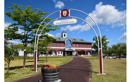 （有）朝日町ワイン 赤 辛口 12本(720ml×12) 朝日町産マスカットベーリーA・ブラッククイーン 家庭用 パーティー おもてなし