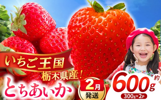 【先行予約】【期間限定】那珂川町産とちあいか 2月発送分 約300g×2 |いちご とちあいか ジューシー フルーティー 大きい 新鮮 甘い 美味しい 果物 共通返礼品 フルーツ デザート 栃木県 那珂川町 送料無料