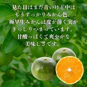 【訳あり】愛媛みかん （ 極早生 ） 3kg【発送時期：９月下旬～１１月下旬】2S-Lサイズ サイズミックス 愛媛みかん 温州みかん 一番みかん 柑橘 みかん 少量 お試し 試供品 5000円 愛媛県