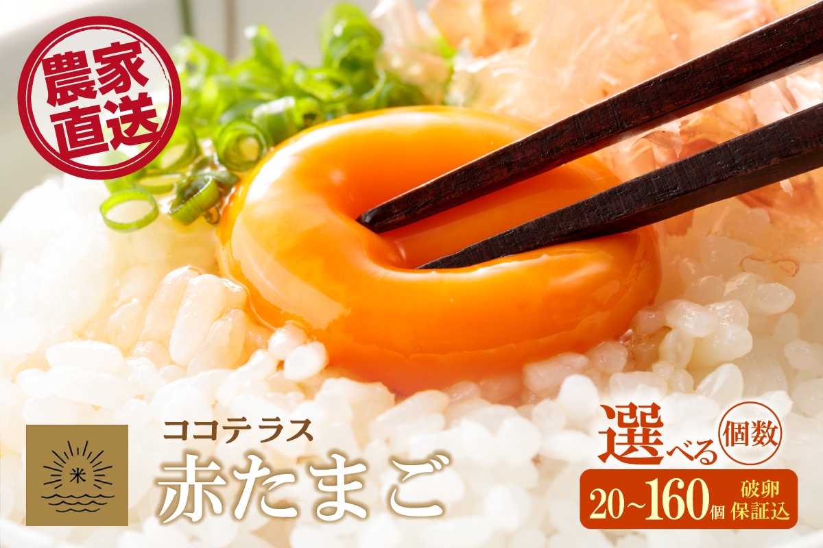 
            ココテラスの明日（赤たまご）単品　20個から160個　選べる個数【JGAP認証】
          